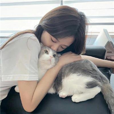 杀出西营盘